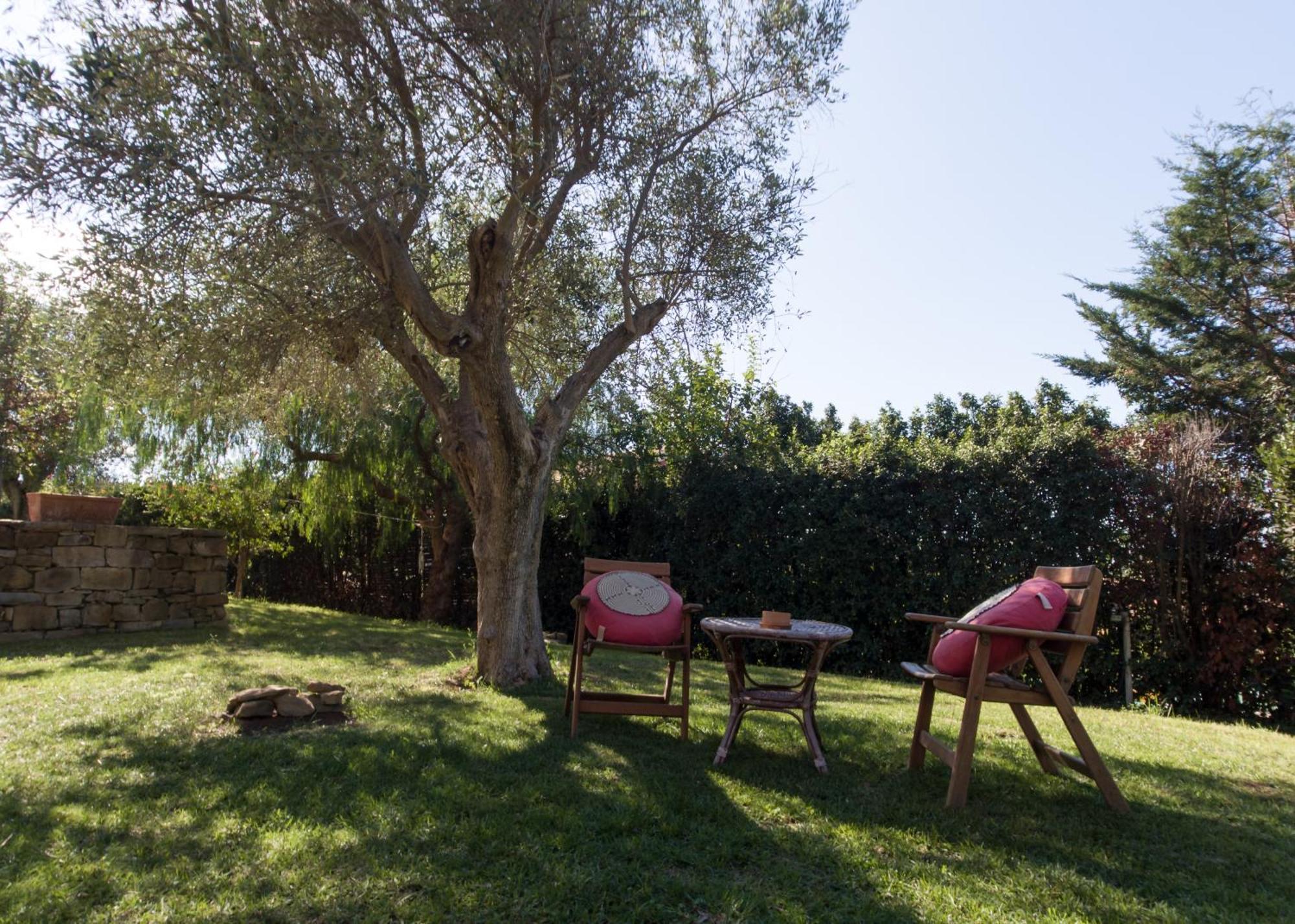 Villa Tresino Appartamenti Castellabate Exterior photo